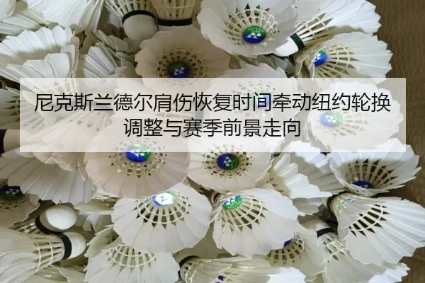 尼克斯兰德尔肩伤恢复时间牵动纽约轮换调整与赛季前景走向