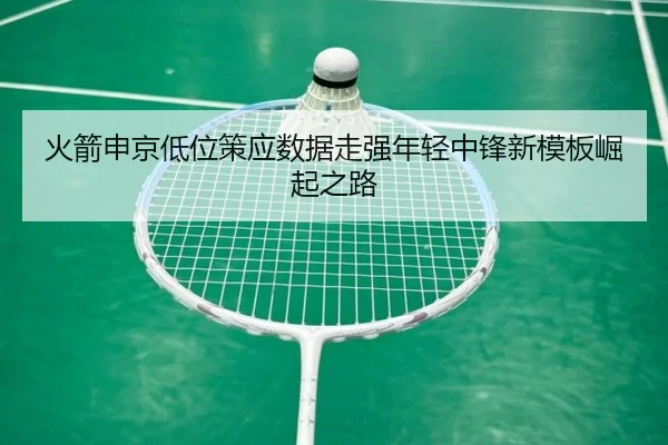 火箭申京低位策应数据走强年轻中锋新模板崛起之路