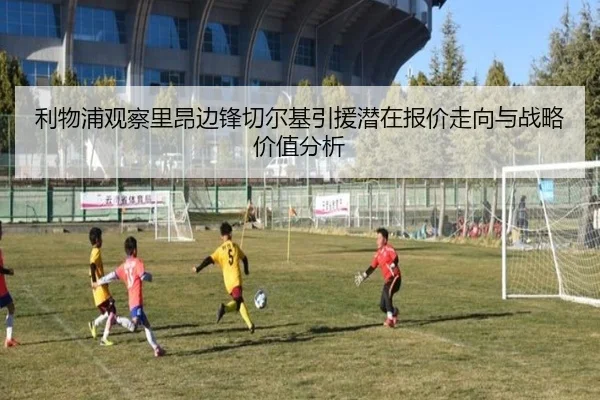 利物浦观察里昂边锋切尔基引援潜在报价走向与战略价值分析