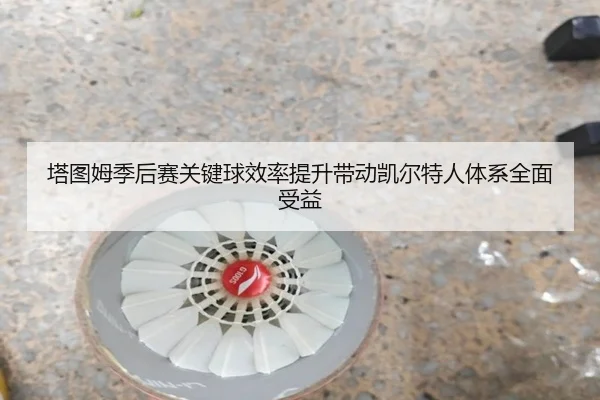 塔图姆季后赛关键球效率提升带动凯尔特人体系全面受益